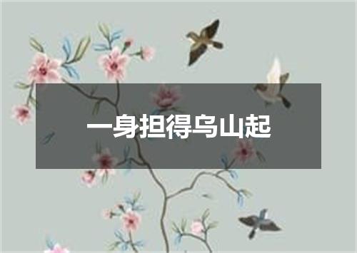 一身担得乌山起