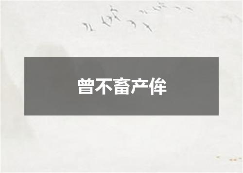 曾不畜产侔