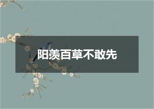 阳羡百草不敢先