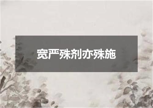 宽严殊剂亦殊施