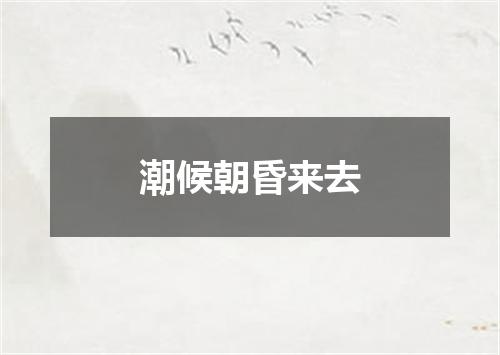 潮候朝昏来去