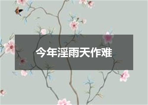 今年淫雨天作难