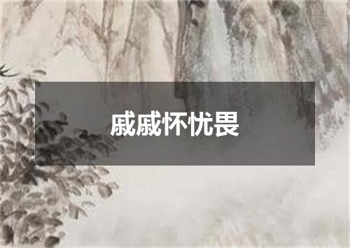 戚戚怀忧畏