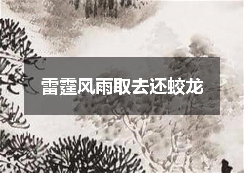 雷霆风雨取去还蛟龙