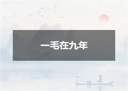 一毛在九年