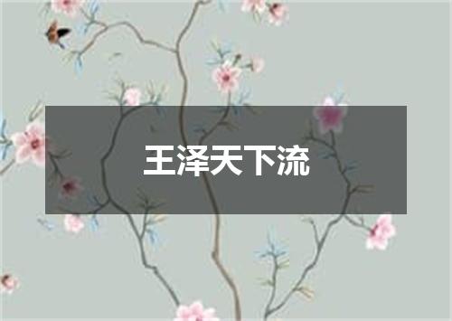 王泽天下流