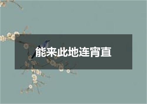 能来此地连宵直