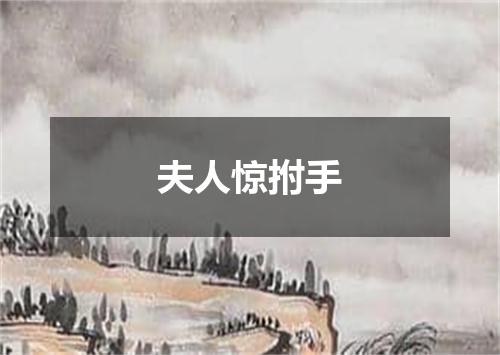 夫人惊拊手