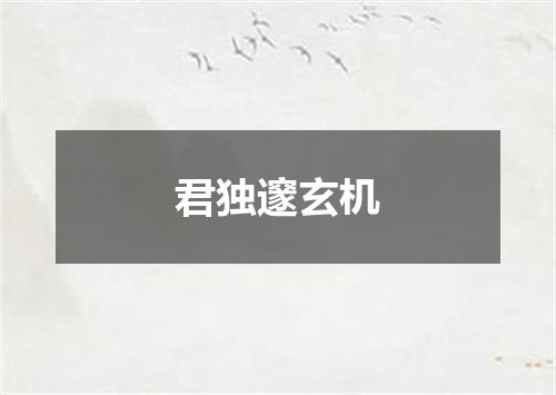 君独邃玄机