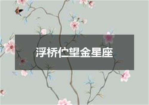 浮桥伫望金星座