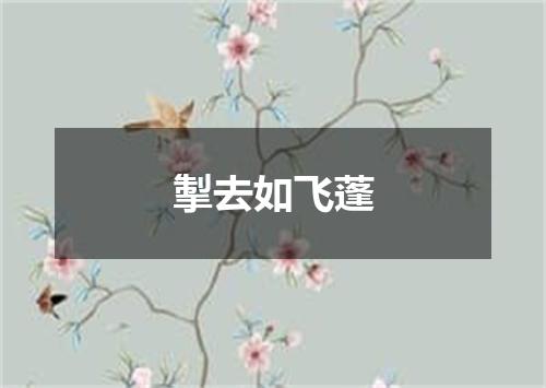 掣去如飞蓬