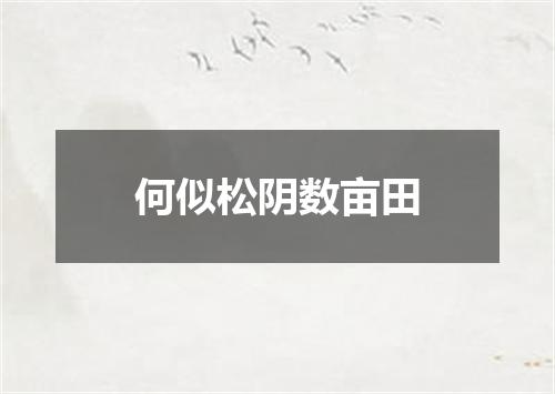 何似松阴数亩田