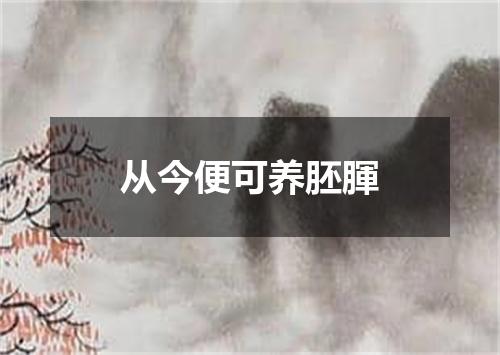 从今便可养胚腪