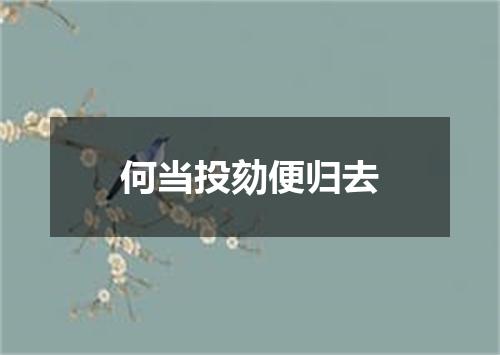 何当投劾便归去