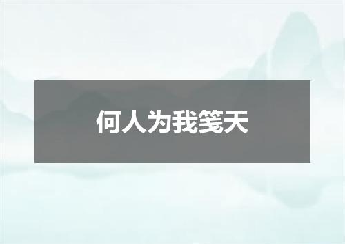何人为我笺天
