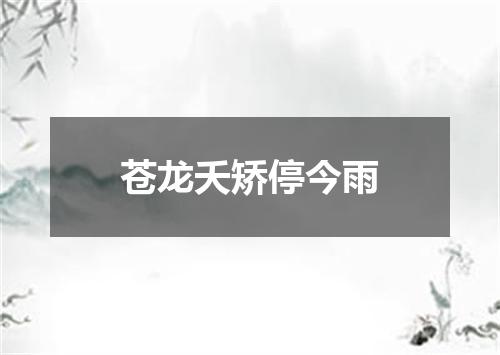 苍龙夭矫停今雨
