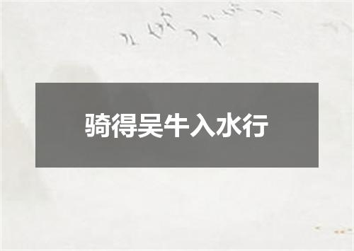 骑得吴牛入水行