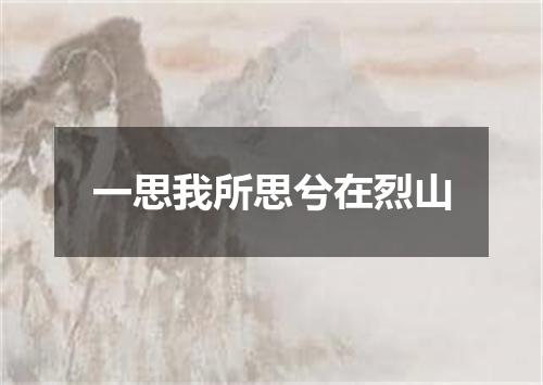 一思我所思兮在烈山