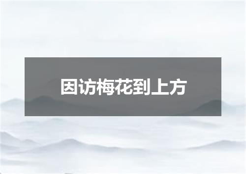 因访梅花到上方