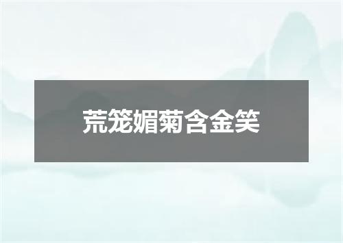 荒笼媚菊含金笑