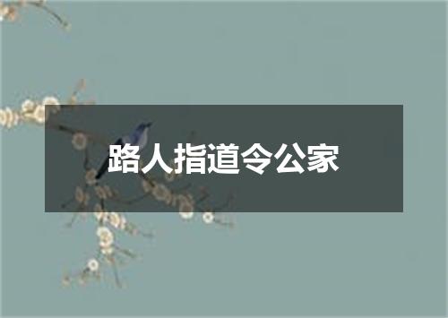 路人指道令公家