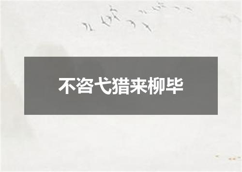 不咨弋猎来柳毕