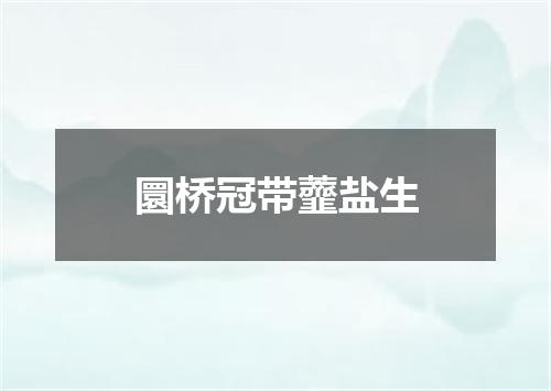 圜桥冠带虀盐生