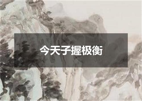 今天子握极衡