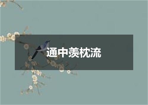 通中羡枕流