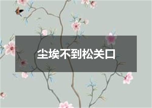 尘埃不到松关口