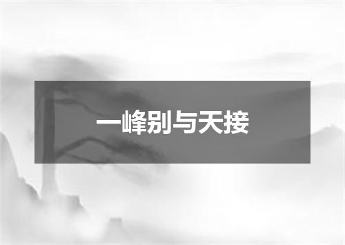 一峰别与天接