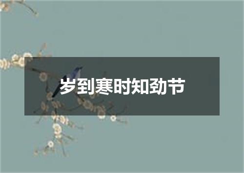 岁到寒时知劲节