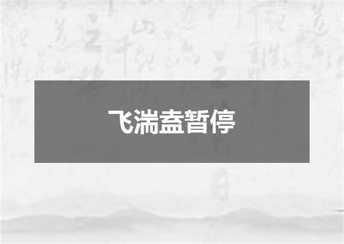 飞湍盍暂停
