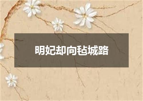 明妃却向毡城路