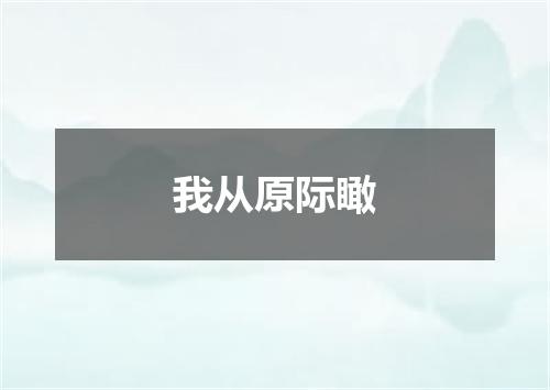 我从原际瞰