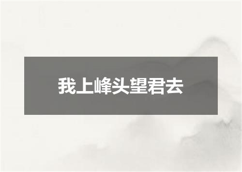 我上峰头望君去