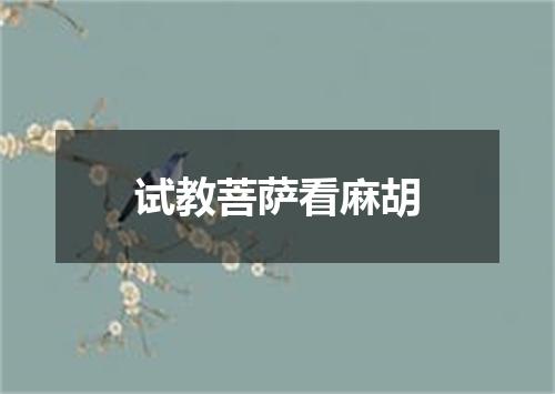 试教菩萨看麻胡