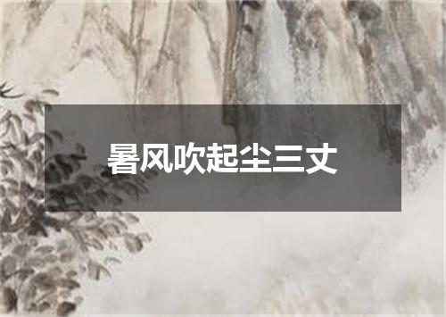 暑风吹起尘三丈