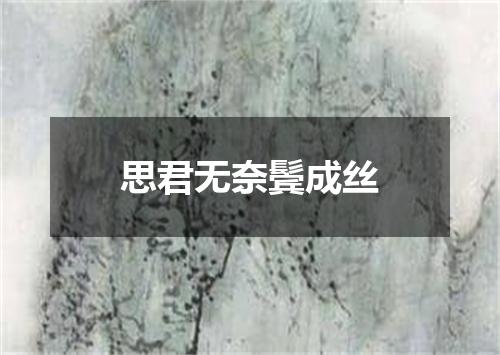 思君无奈鬓成丝