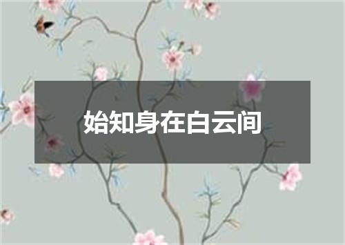 始知身在白云间