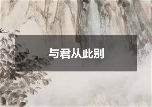 与君从此别