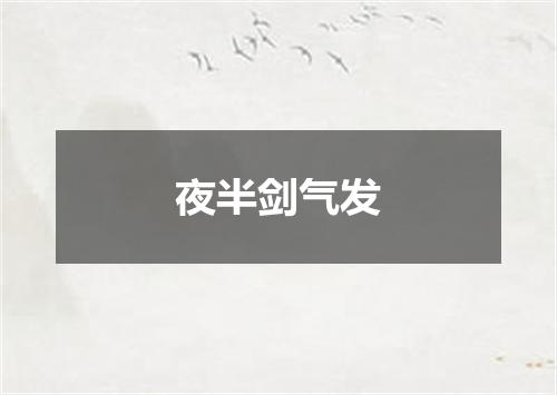 夜半剑气发