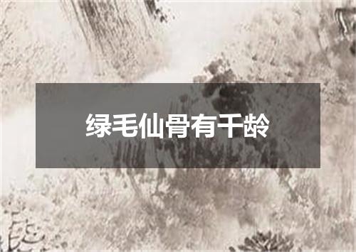 绿毛仙骨有千龄