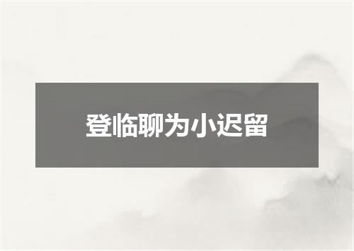 登临聊为小迟留