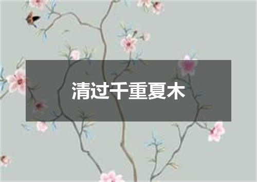 清过千重夏木