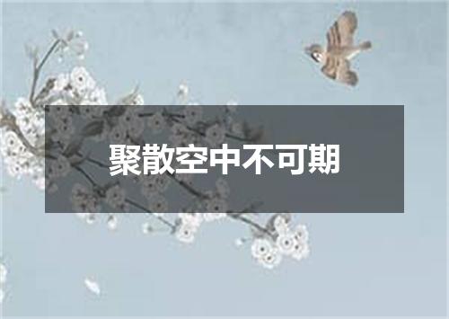 聚散空中不可期