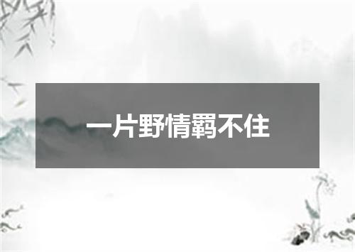 一片野情羁不住
