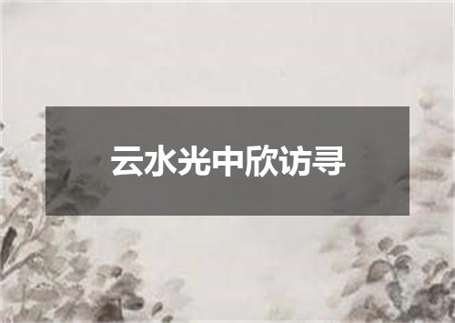 云水光中欣访寻