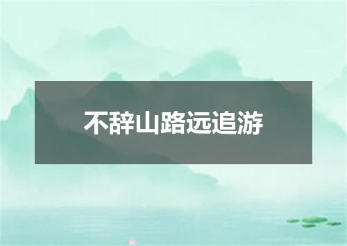 不辞山路远追游