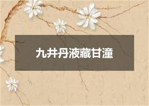 九井丹液藏甘潼